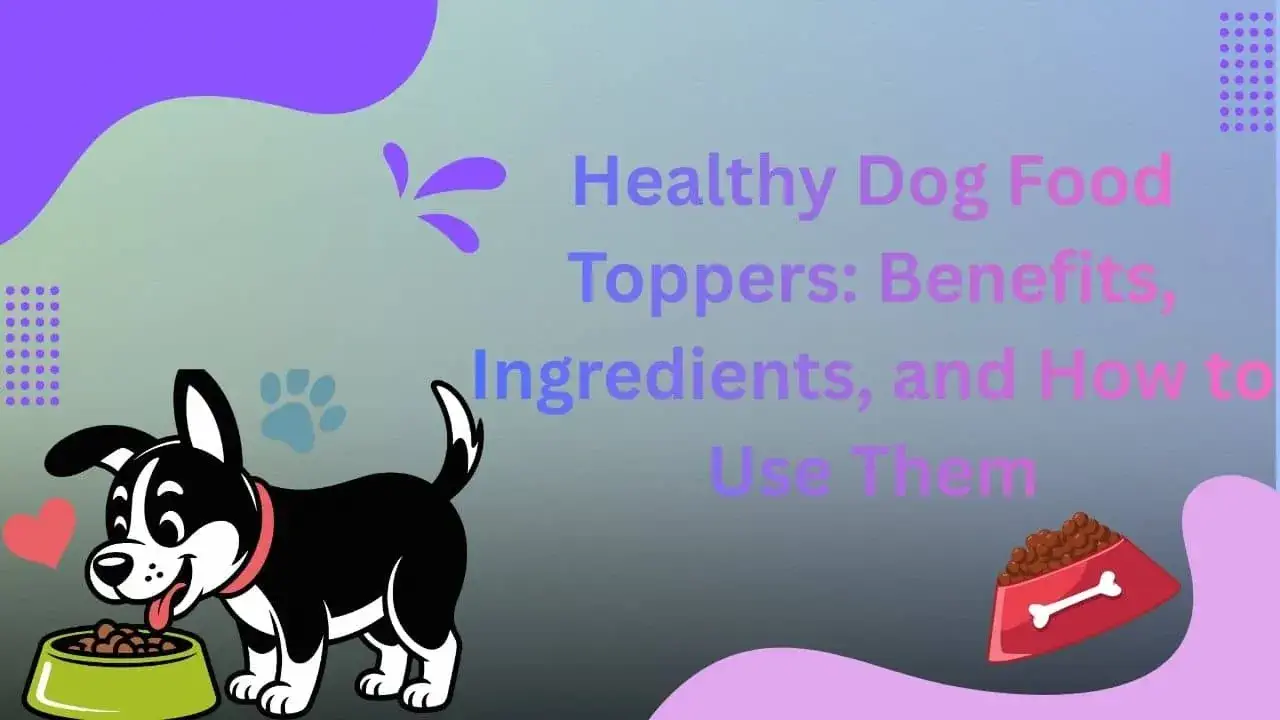 Healthy Dog Food Toppers: Benefits, Ingredients, and How to Use Them