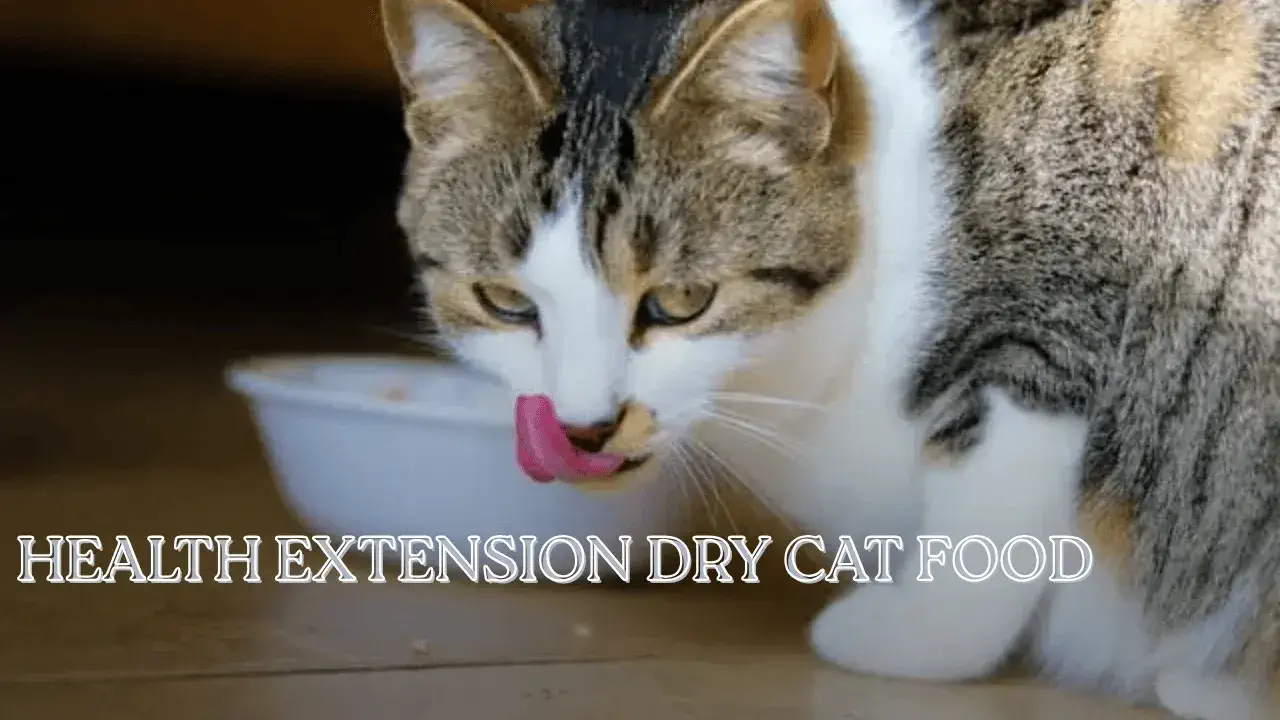 Health Extension Dry Cat Food
